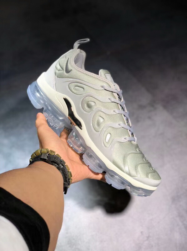 Authentic Nike Air Vapormax Plus silver gray 